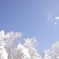 DSC05276