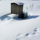 冬の日差し