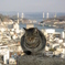 尾道の猫
