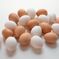 tamago