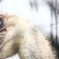 動物園にて