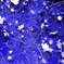 R0012879