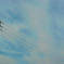 電線と空