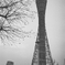 KOBE PORTTOWER