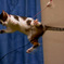 Jump!