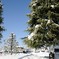 雪の公園