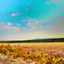 country road