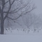 吹雪