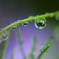 　　雨の余韻 