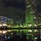 夜の華。