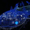 夜の水族館