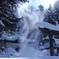 舞雪