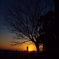 夕暮れのグラデーション