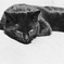 黒猫