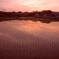 DSCN0347