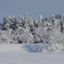 水無川の雪景色