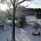 雪の朝