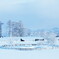 日本一雪景色の似合う牧場