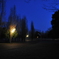 夜の公園