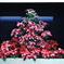 クリスマス