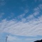 春の足音