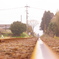 IMGP6012