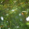 P1060503