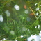 P1060504
