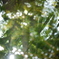 P1060508