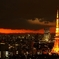 夕闇迫る東京タワー