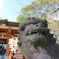 デビュー作　浅間神社にて