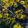 20120220-IMGP4052