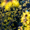 20120220-IMGP4075
