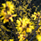 20120220-IMGP4081