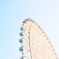 青空観覧しゃ