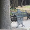 IN THE PARK