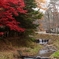 _MG_1340-s