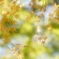 _MG_4641_jpg-s