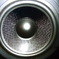 ADAM SPEAKER