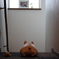 ボールは戻って来ないね。