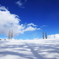 一瞬の青空