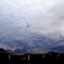 雲