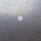 雪の結晶～その６