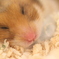 もーちょっと。あと５ふん・・・