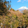 白糸の滝と富士山
