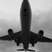 P1010784