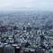 東京薄化粧