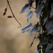 photo_1665903