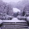 鎌倉雪風情Ⅱ（浄妙寺）