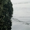 2012-03-03_ MINOLTA α-707si_11